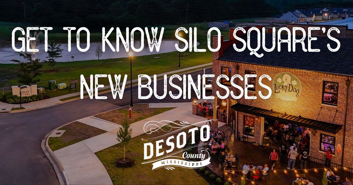 get to know silo squares new businesses blog hero