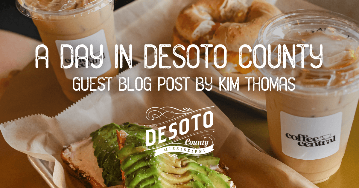 guest blog post a day in desoto county blog hero