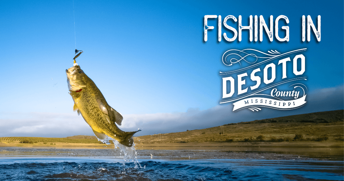lets go fishing in desoto county blog hero