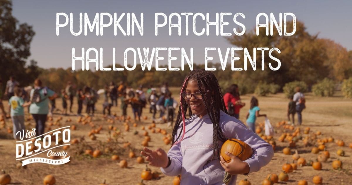pumpkin patches and halloween events blog hero