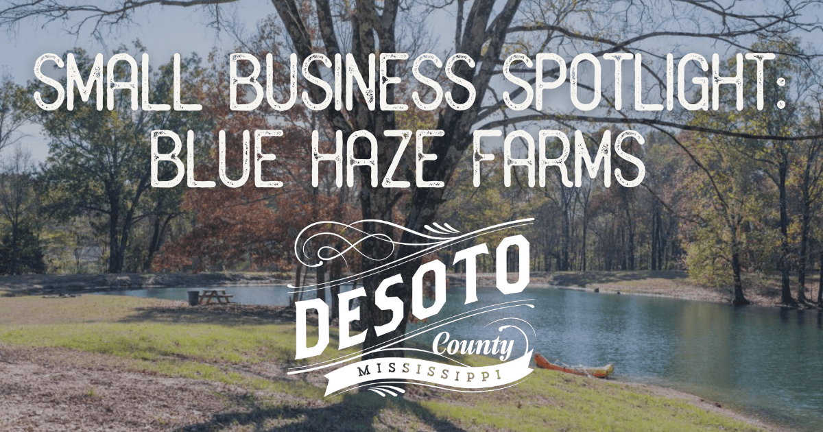 small business spotlight blue haze farms blog hero
