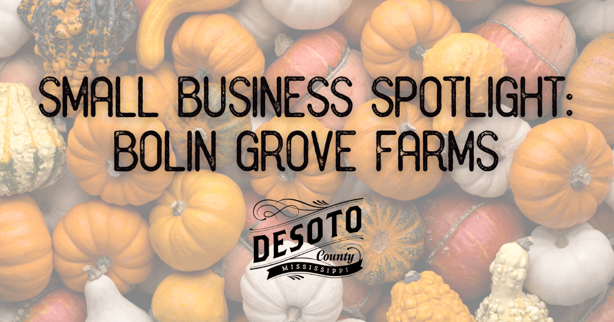 small business spotlight bolin grove farms blog hero