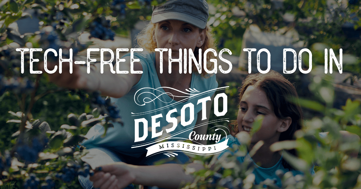 tech free things to do in desoto county blog hero