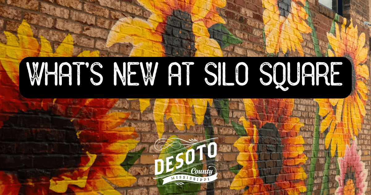 whats new at silo square blog hero