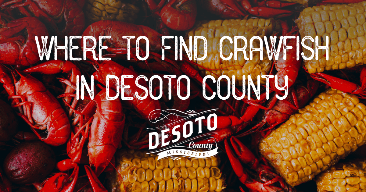 where to find crawfish in desoto county blog hero