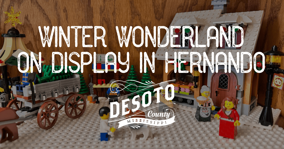 winter wonderland on display in hernando blog hero