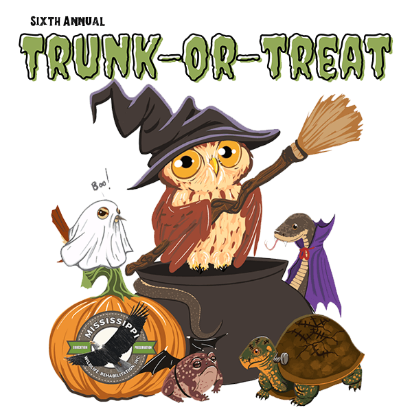 Trunk-or-Treat event photo