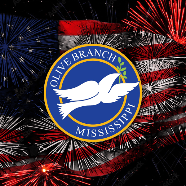 Independence Day Fireworks event photo