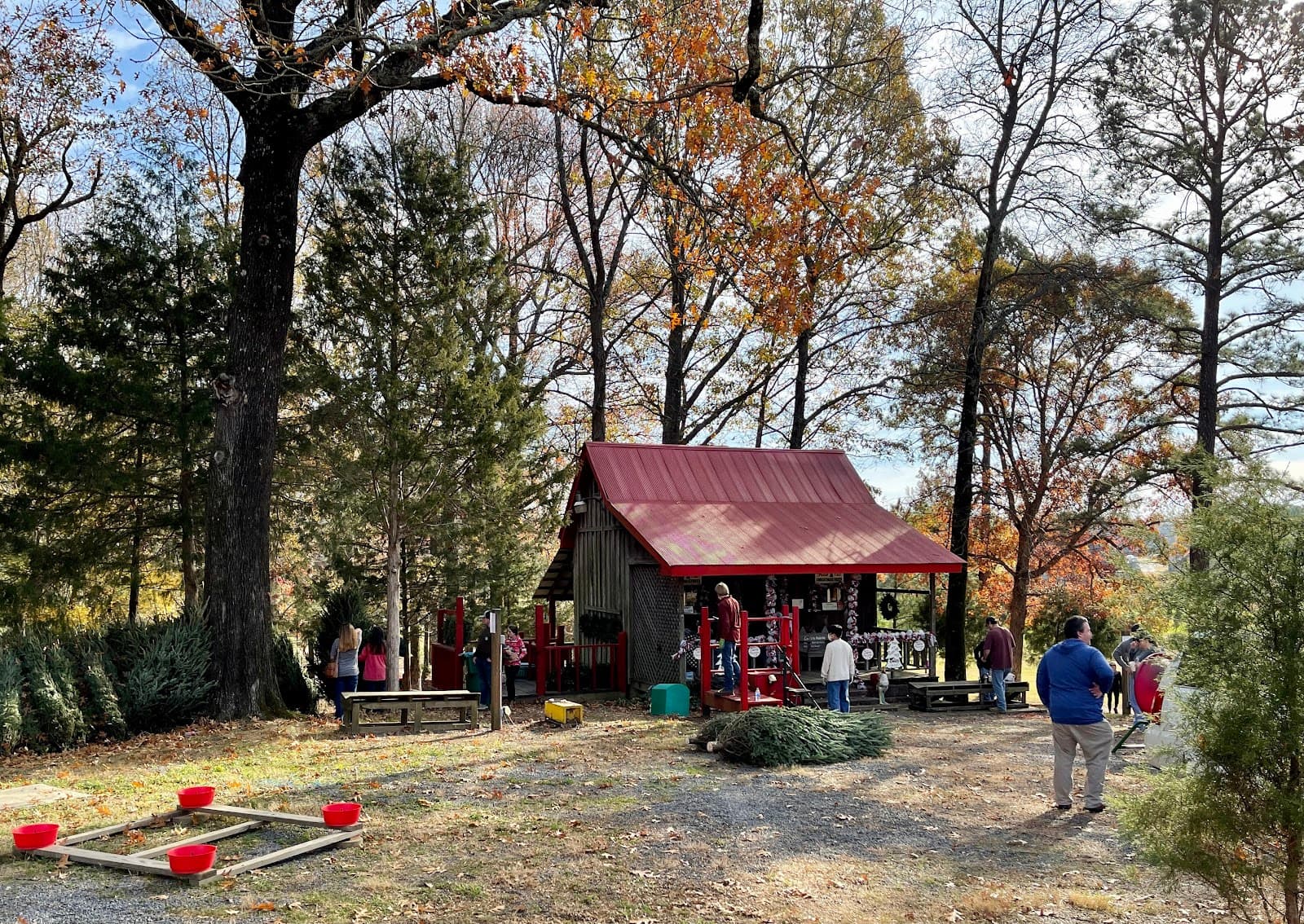 Merry Christmas Tree Farm in Nesbit