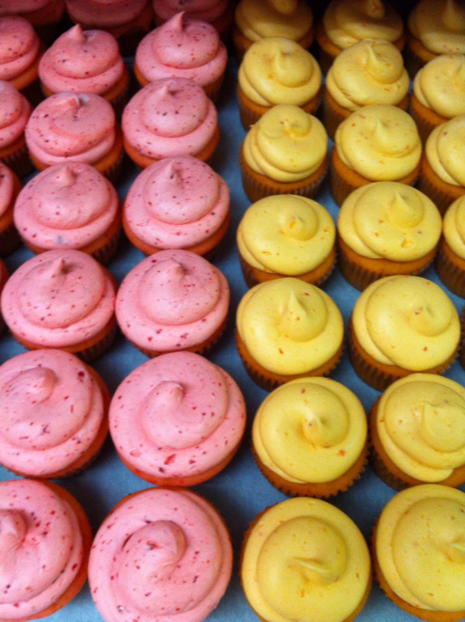 Old Towne Bakery in Olive Branch