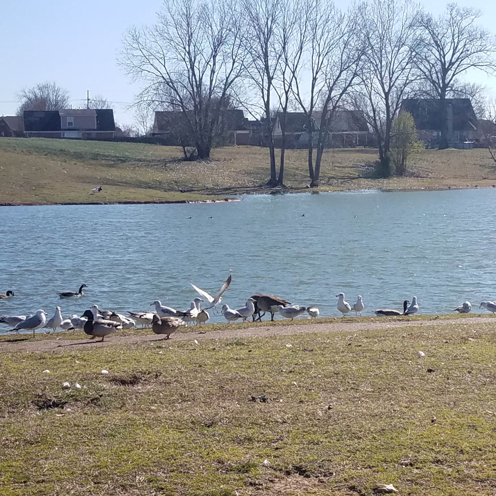 Central Park in Southaven