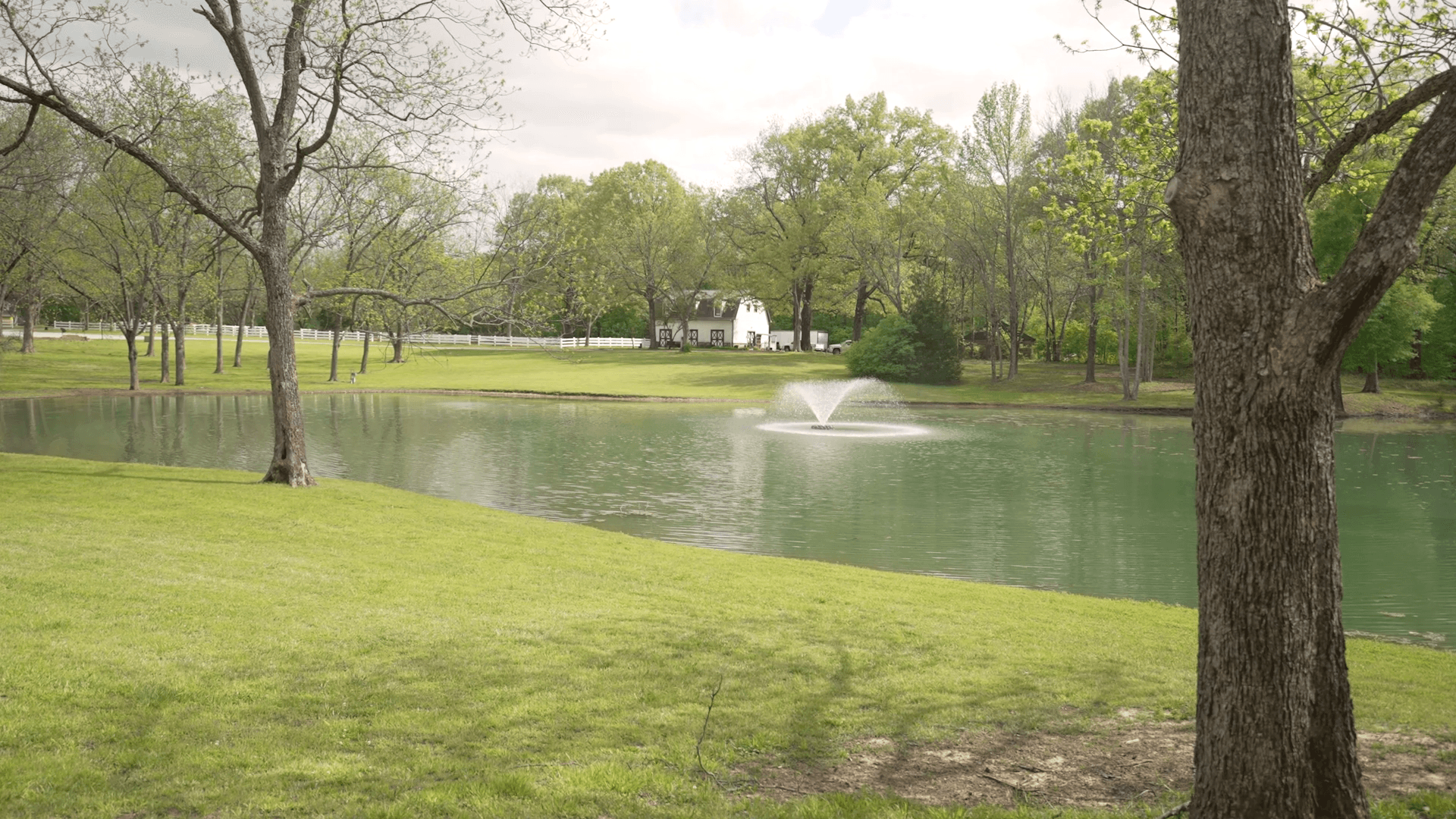 Lake and tree-lined shoreline at Bonne Terre in Nesbit