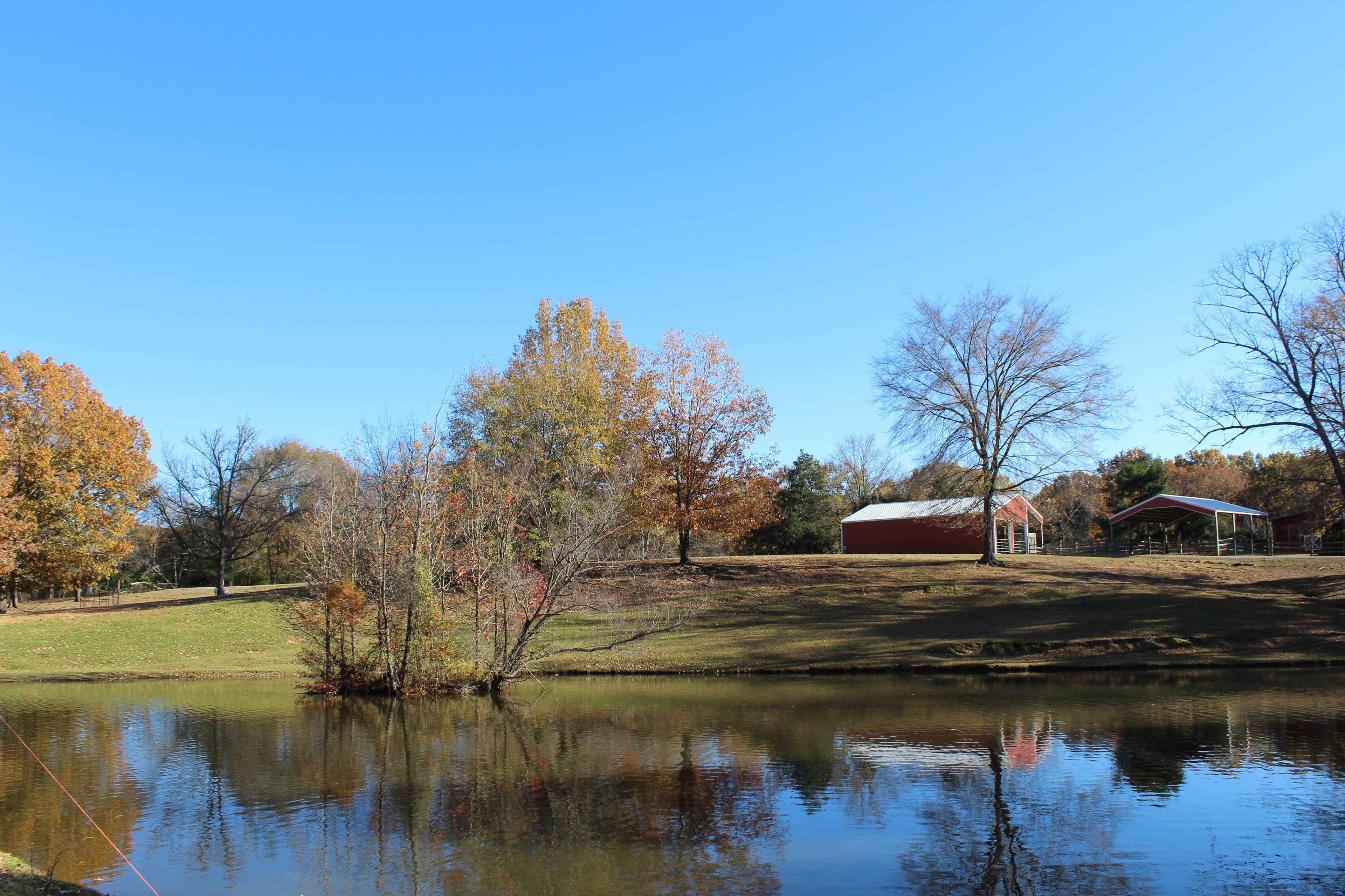 Red barn and autumn trees at Cedar Hill Farm in Hernando