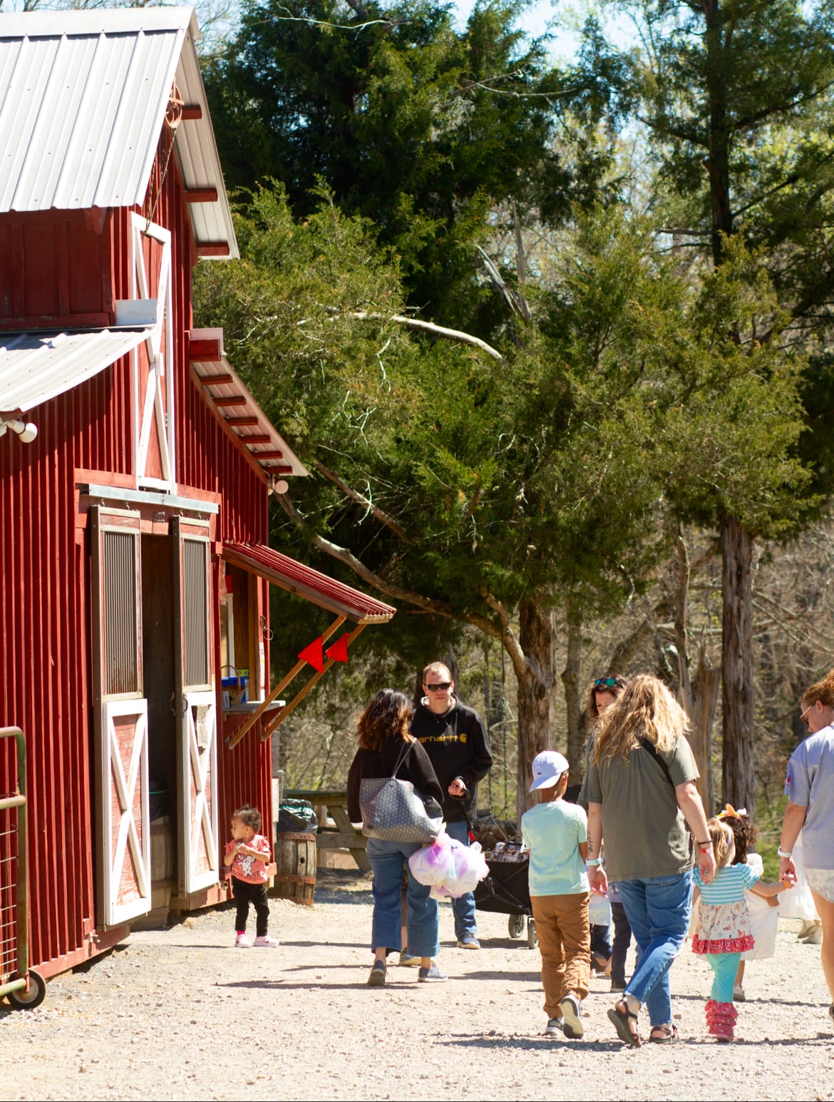 Cedar Hill Farm, The Barn. in Hernando