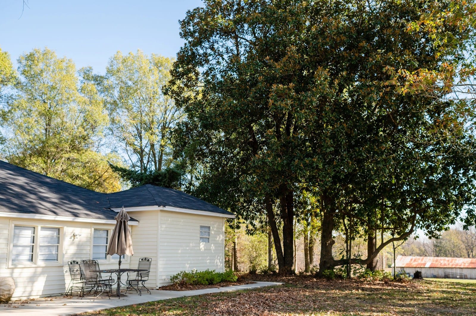 Blue Haze Farms in Nesbit