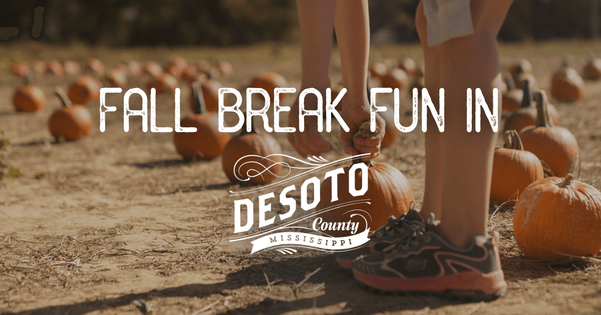 fall break fun in desoto county blog hero