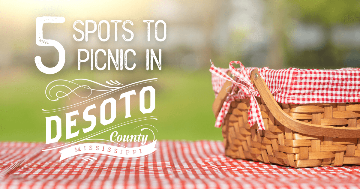 five places to have a picnic this summer in desoto county blog hero