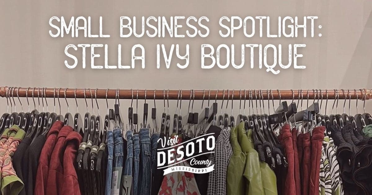small business spotlight stella ivy boutique blog hero