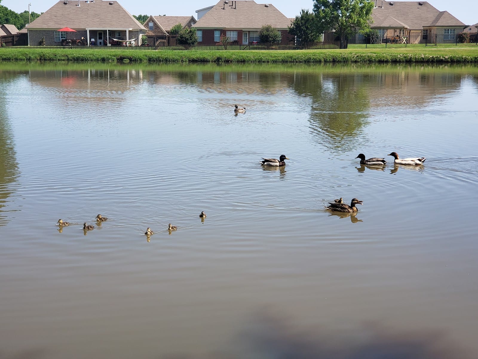 Latimer Lake Park in Horn Lake