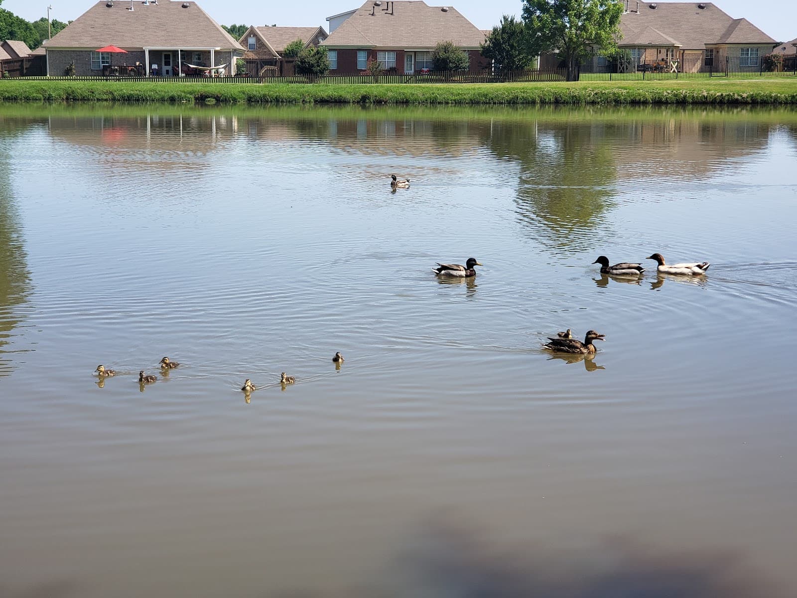 Latimer Lake Park in Horn Lake